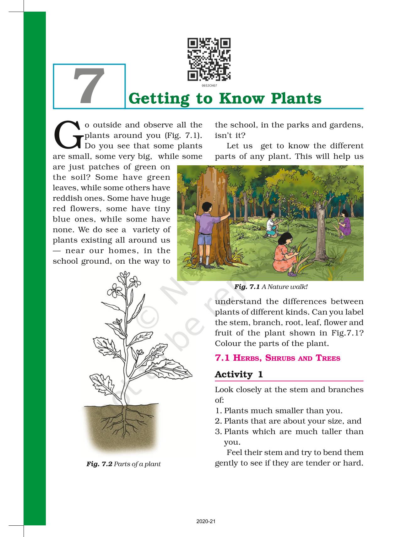 essay on diversity in plants for class 6